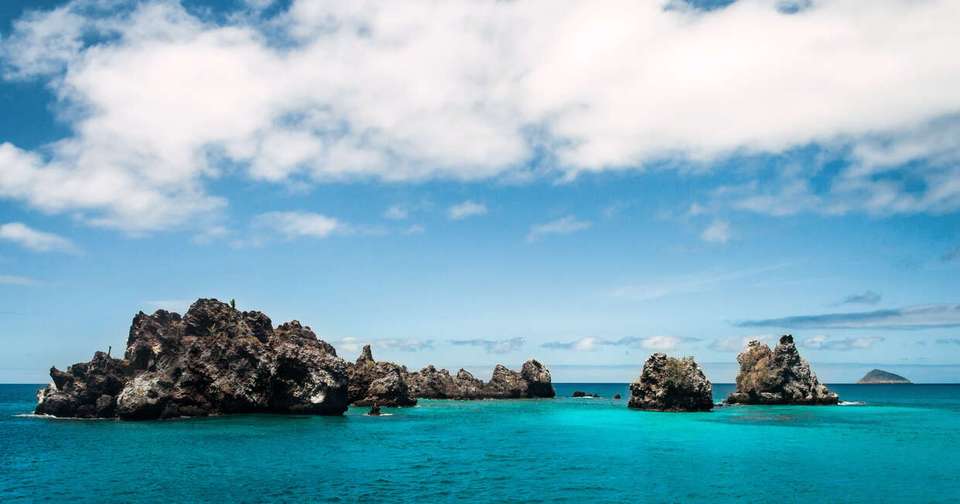 Galapagos - Central, South & East Islands aboard the Archipel I - Explore - Ecuador - Image 8
