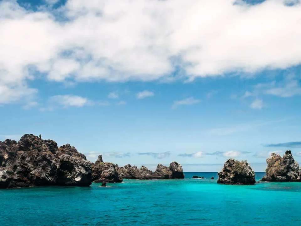 Galapagos - Central, South & East Islands aboard the Archipel I - undefined - Image 10