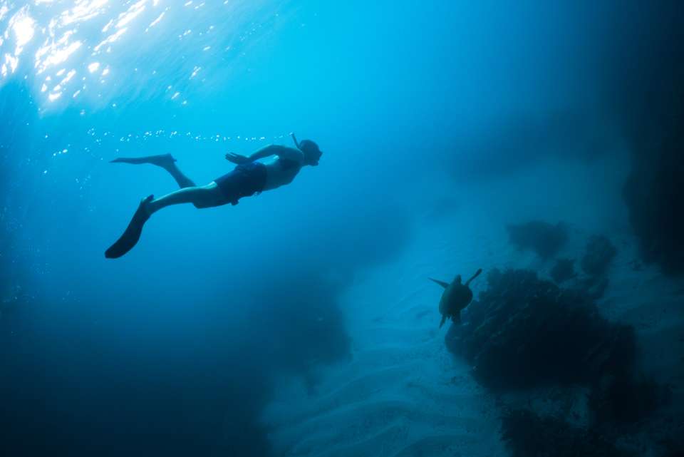 Galapagos Cruise & Peru in Depth (Grand Queen Beatriz) - Intrepid Travel - Ecuador - Image 21