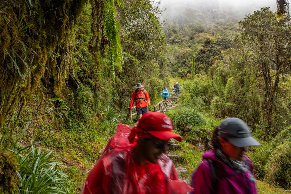 Galapagos Cruise & Peru’s Land of the Incas (Grand Daphne) - Intrepid Travel - Ecuador - Image 21