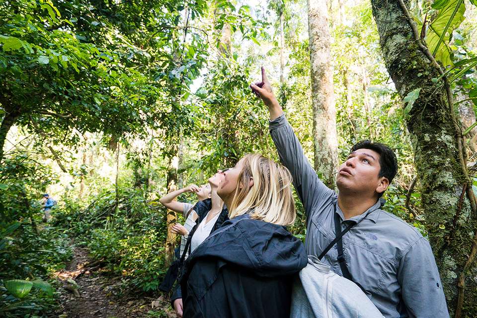 Galapagos Cruise & Peru’s Land of the Incas (Grand Daphne) - Intrepid Travel - Ecuador - Image 6