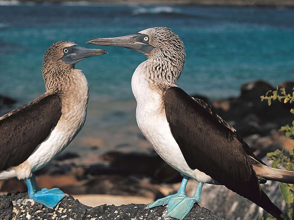 Galapagos Discovered - 6 days - On The Go Tours - Ecuador - Image 1