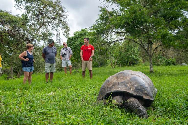 Ecuador Cruise Tour: Galapagos Encounter: Southern Islands (Grand Queen Beatriz)