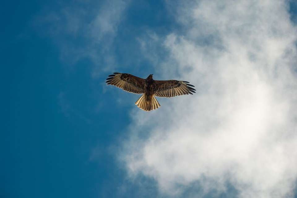 Galapagos Encounter: Southern Islands (Grand Queen Beatriz) - Intrepid Travel - Ecuador - Image 4