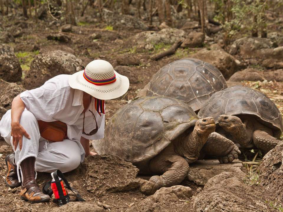 Galapagos Encounters - 7 days - On The Go Tours - Ecuador - Image 4