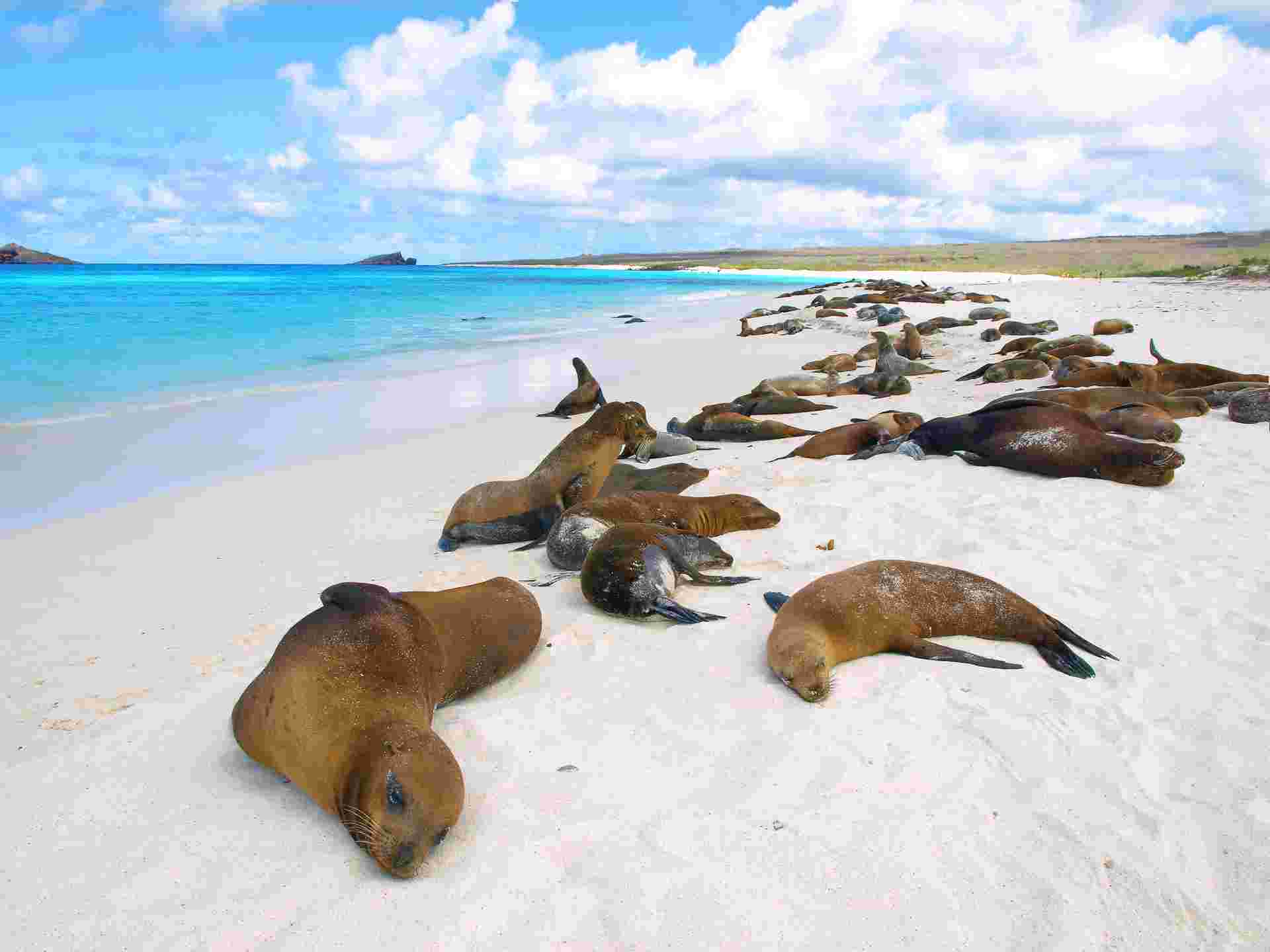 Galapagos Escape - Solaris (Itinerary B)