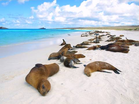Galapagos Escape - Solaris (itinerary B) - March 2026