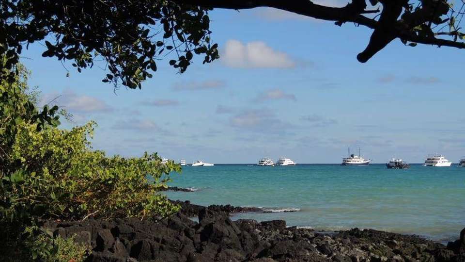 Galapagos Essentials - Encounters Travel - Ecuador - Image 7