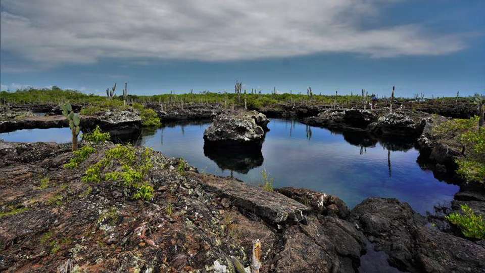 Galapagos Essentials - Encounters Travel - Ecuador - Image 8