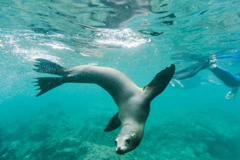 South America Family Tour Packages: Galapagos Family Holiday