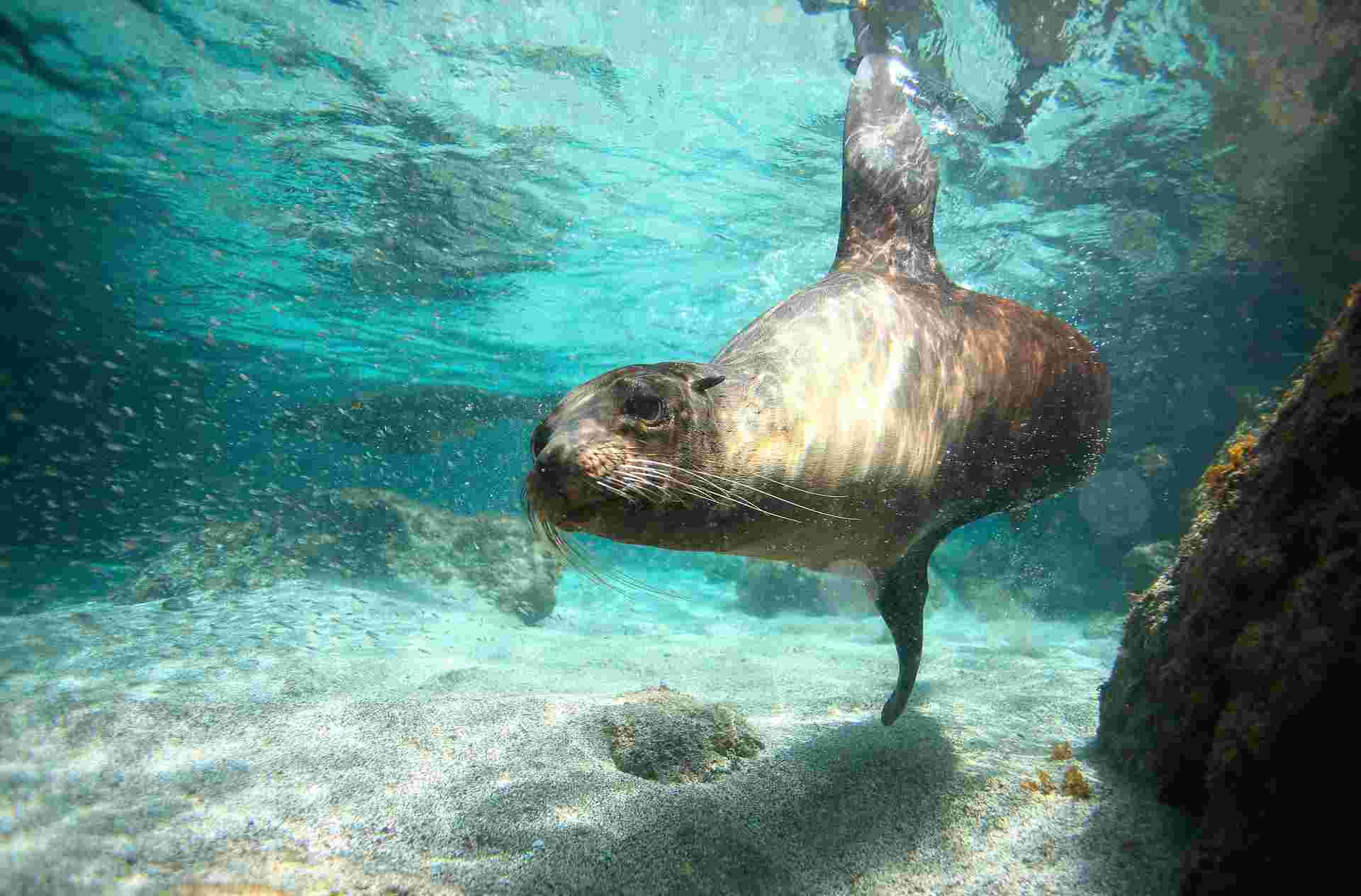 Galapagos Walking Adventure
