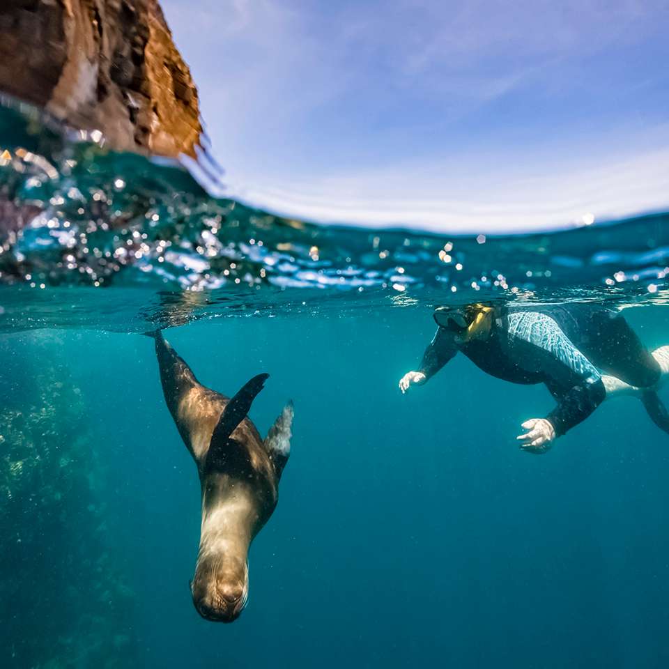 Galapagos Island Hopper - Contiki - Ecuador - Image 6