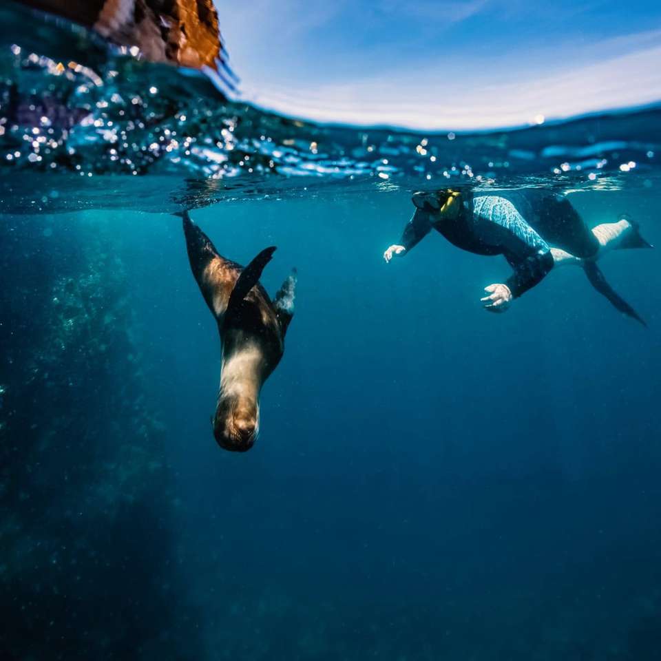 Galapagos Island Hopper - undefined - Image 7
