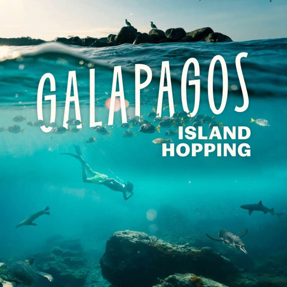 Galapagos Island Hopper - undefined - Image 8
