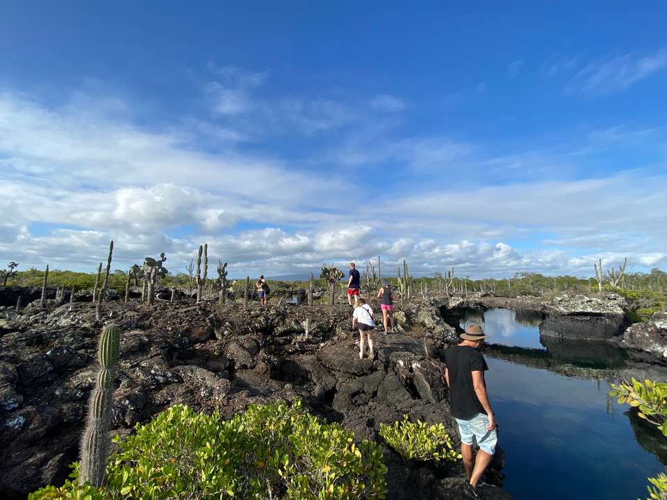Image 8 of 15
