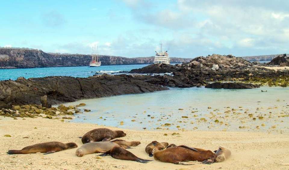 Galapagos Island Hopping Adventure 5D/4N - Bamba - Ecuador - Image 2