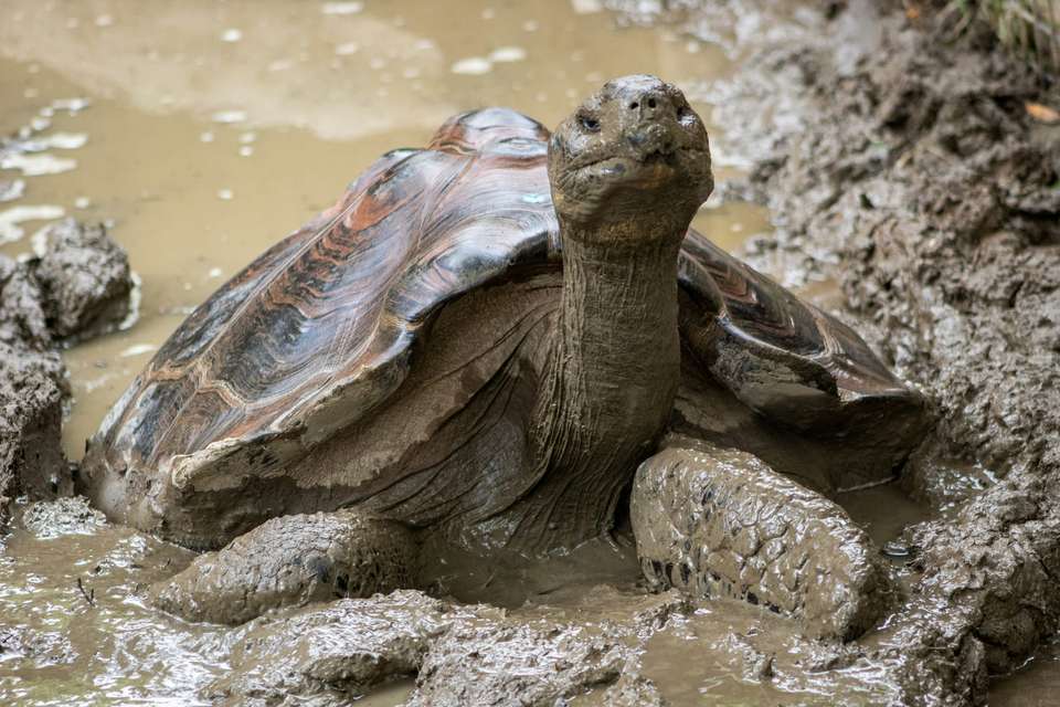 Galapagos Island Hopping Adventure 7D/6N - undefined - Image 5