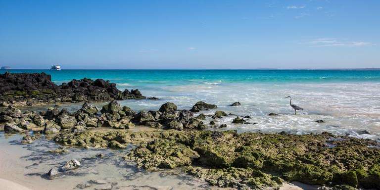 Galápagos Island Hopping trip - alternative tour available