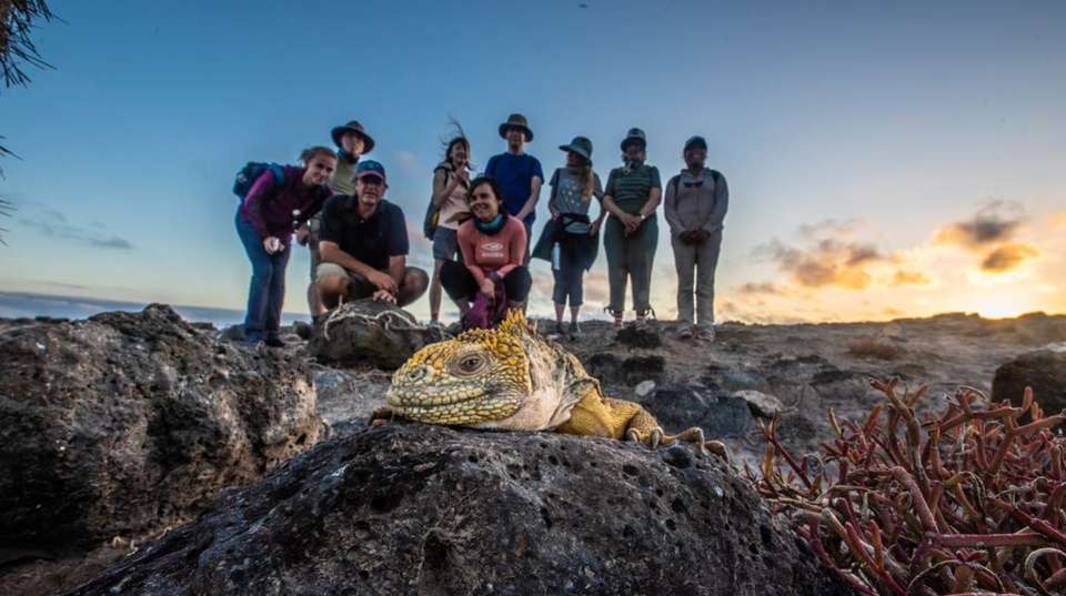 YACHT LA PINTA HUMBOLDT ISLES EXPEDITION (Thurs - Mon) - undefined - Image 9