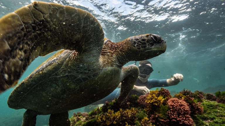YACHT ISABELA II NATURAL SELECTION JOURNEY (Fri - Thurs) trip - alternative tour available