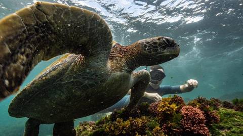 Yacht Isabela Ii Natural Selection Journey (fri - Thurs) - Fall Tours