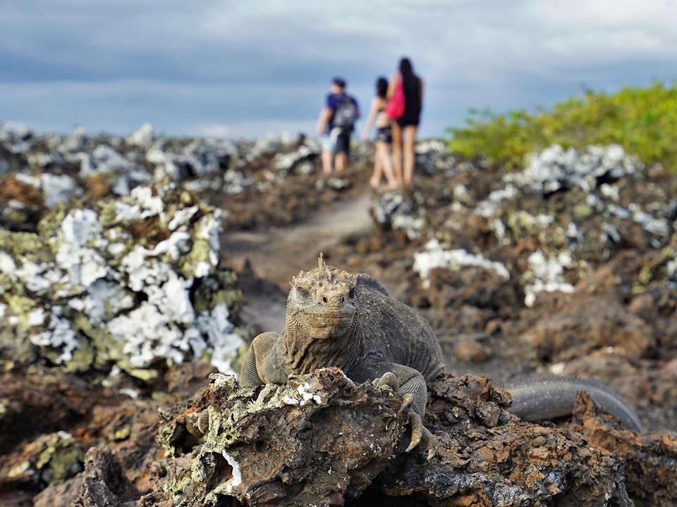 Galapagos Islands Explorer - 7 days - On The Go Tours - Ecuador - Image 3