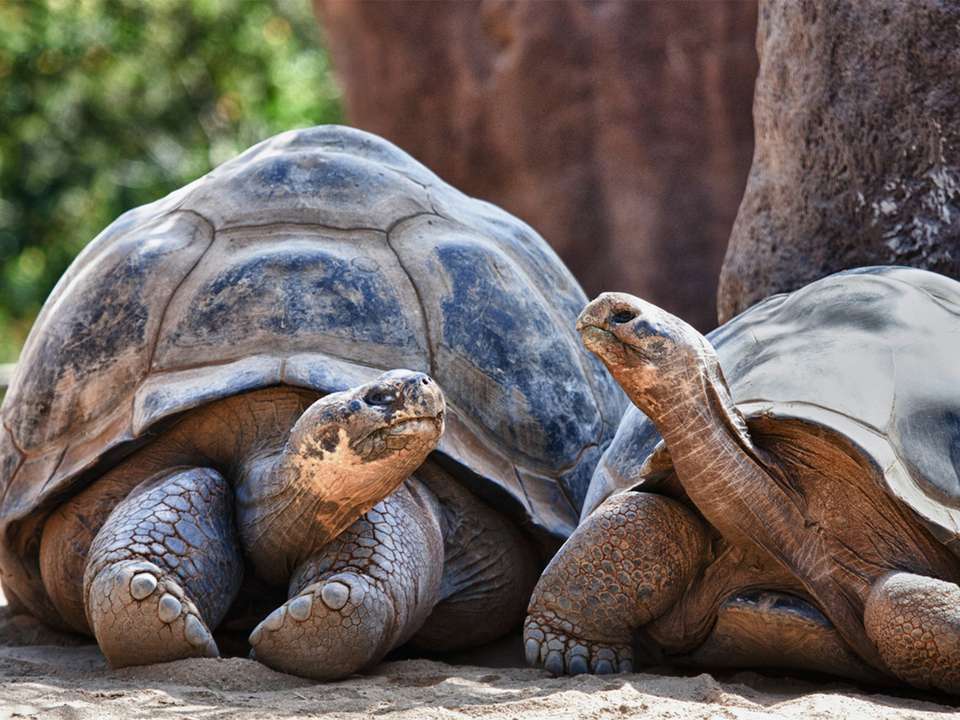 Galapagos Islands Family Adventure (Private) - 7 days - On The Go Tours - Ecuador - Image 5