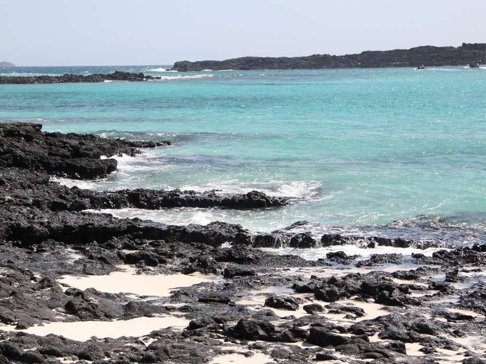 Image 7 of 23