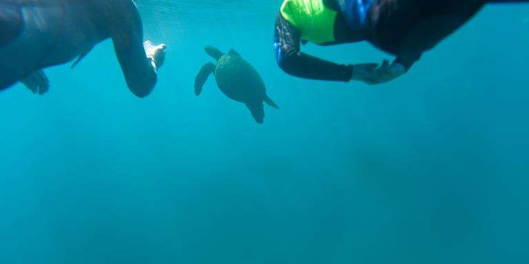 Galápagos Multisport trip - alternative tour available