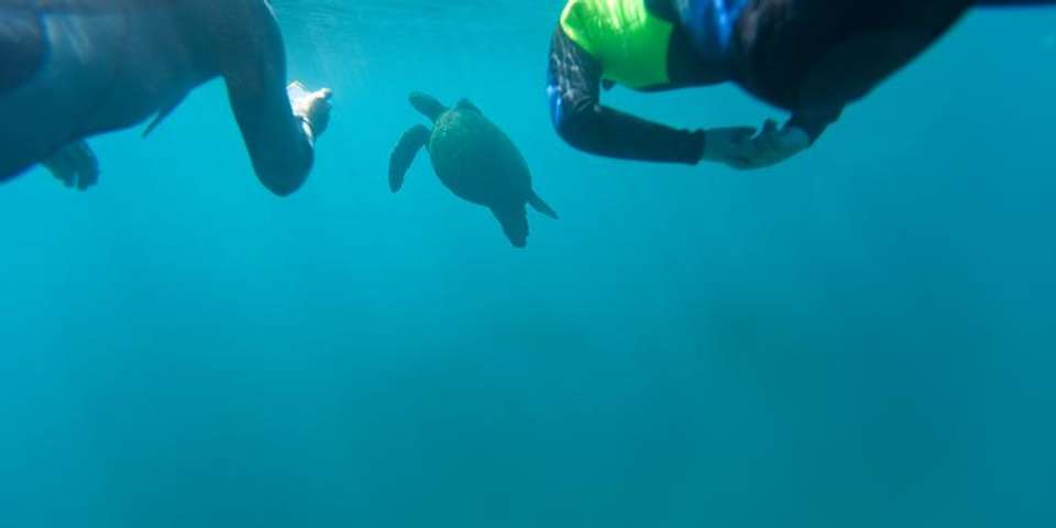 Galápagos Multisport - G Adventures - Ecuador - Image 1