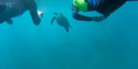Galápagos Multisport - July 2027
