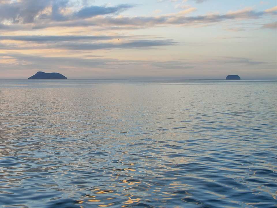Galápagos — North, West & Central Islands aboard the Yolita - G Adventures - Ecuador - Image 13