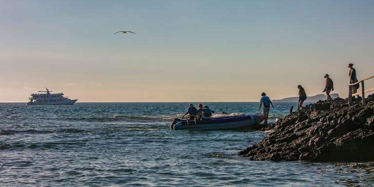 Galápagos — South & East Islands aboard the Eden trip - alternative tour available