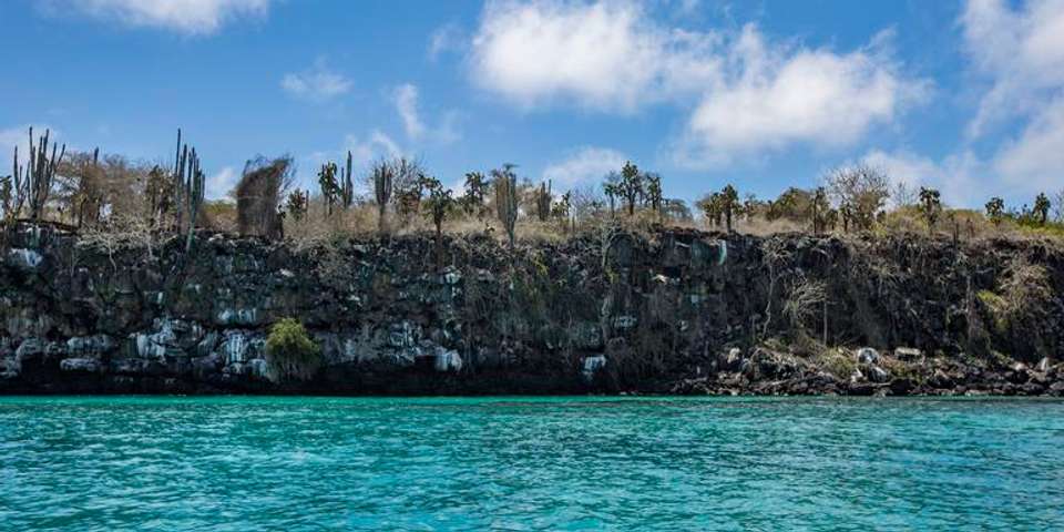 Galápagos — South & East Islands aboard the Yolita - G Adventures - Ecuador - Image 1