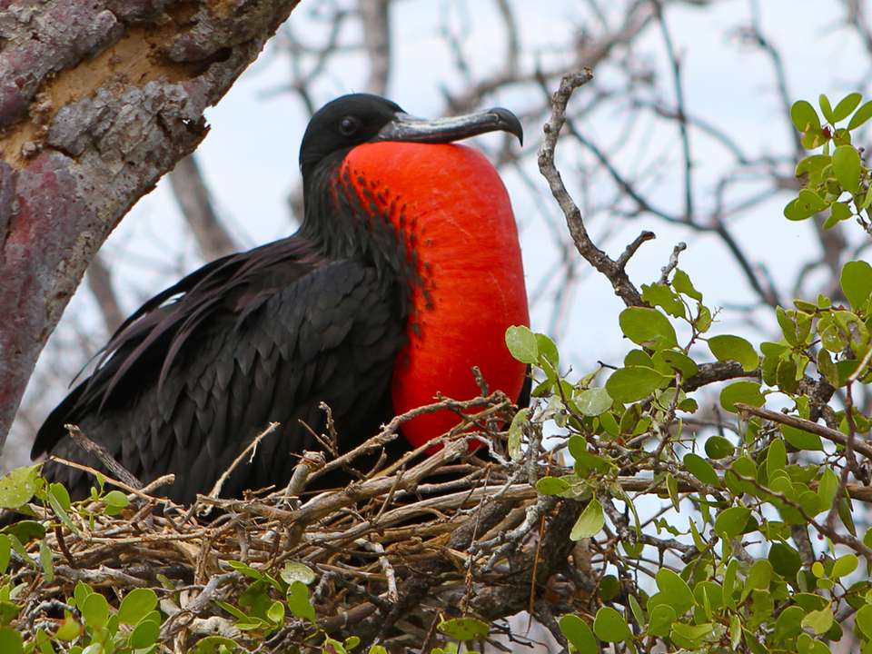 Galápagos — South & East Islands aboard the Yolita - G Adventures - Ecuador - Image 14