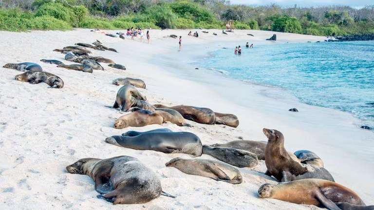 Galapagos Uncovered trip - alternative tour available