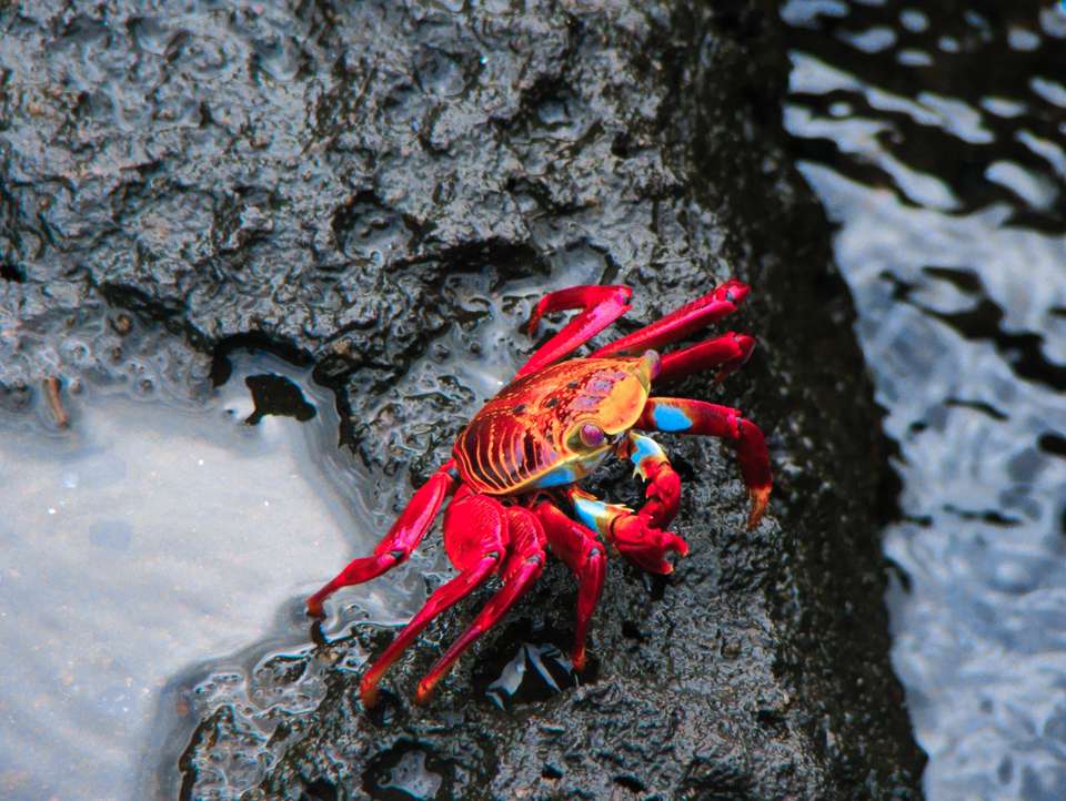 Galapagos Walking Adventure - Exodus Adventure Travels - Ecuador