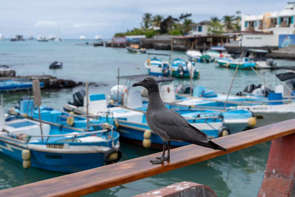 Galapagos Walking Adventure - Exodus Adventure Travels - Ecuador