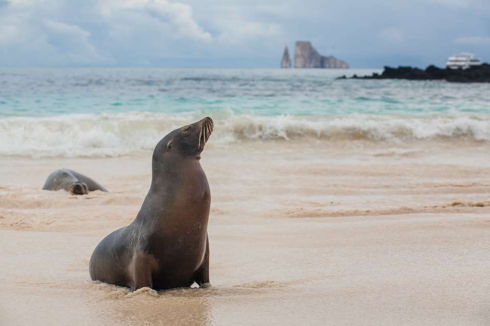 Galapagos Walking Adventure - Exodus Adventure Travels - Ecuador
