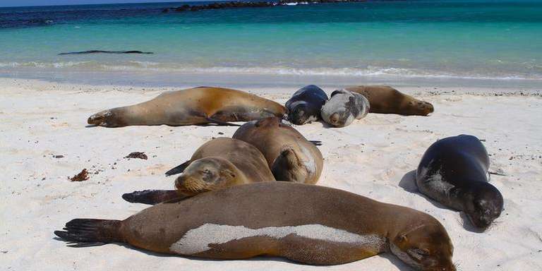 Quito Sailing, yachting and motor boating Tour: Galápagos — West & Central Islands aboard the Eden