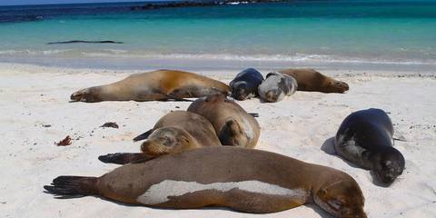 Galápagos — West & Central Islands Aboard The Eden - November 2026