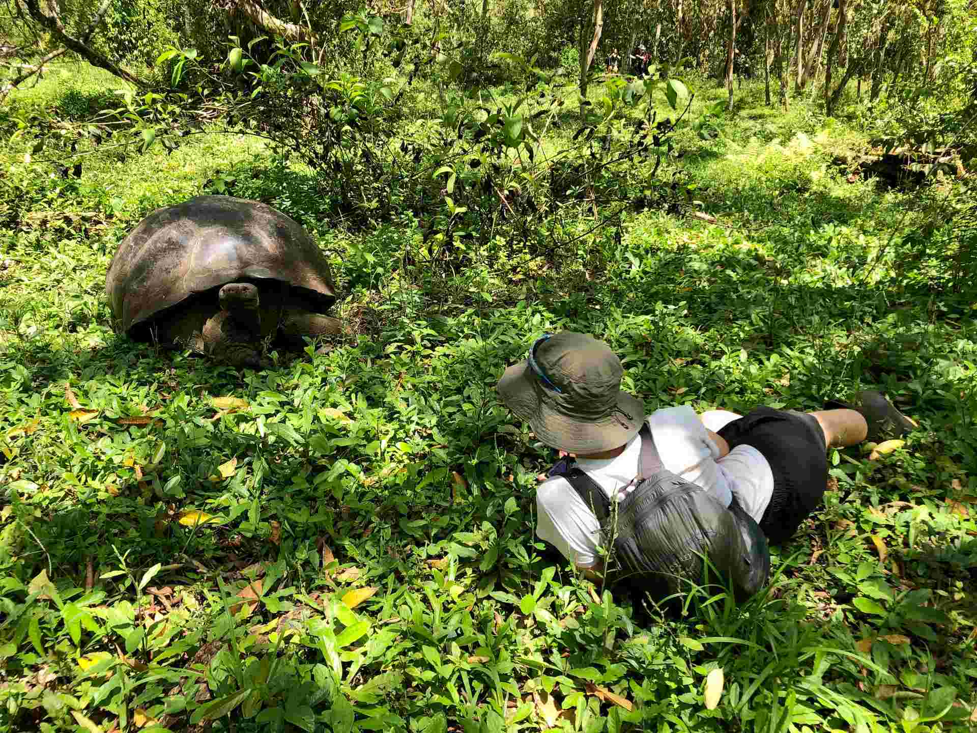 Galápagos – West and Central Islands aboard the Reina Silvia Voyager (Cruise Only)
