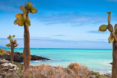 Quito Wildlife Tour: Galapagos Wildlife Cruise (archipel I)