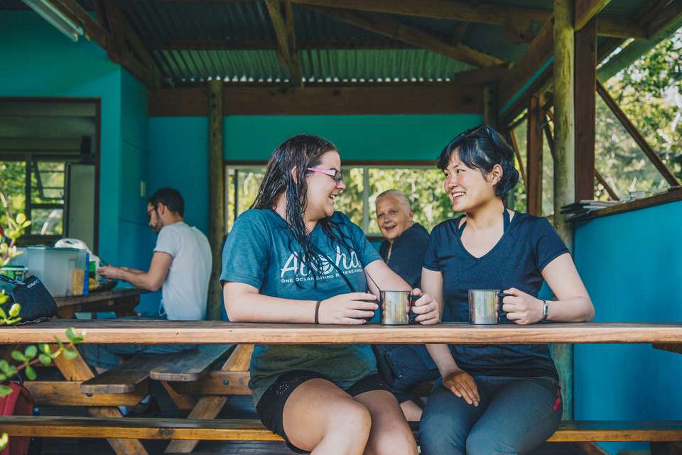 Garden Route Adventure - Intrepid Travel - South Africa