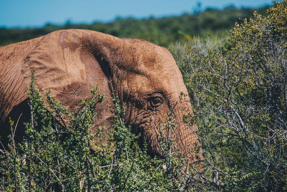 Garden Route Adventure - Intrepid Travel - South Africa