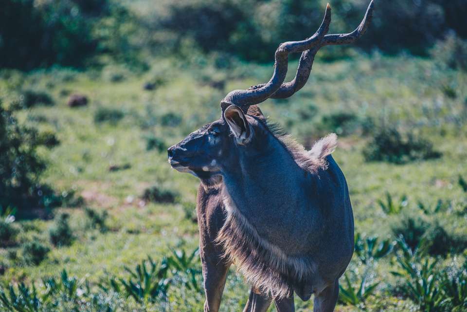 Garden Route Adventure - Intrepid Travel - South Africa