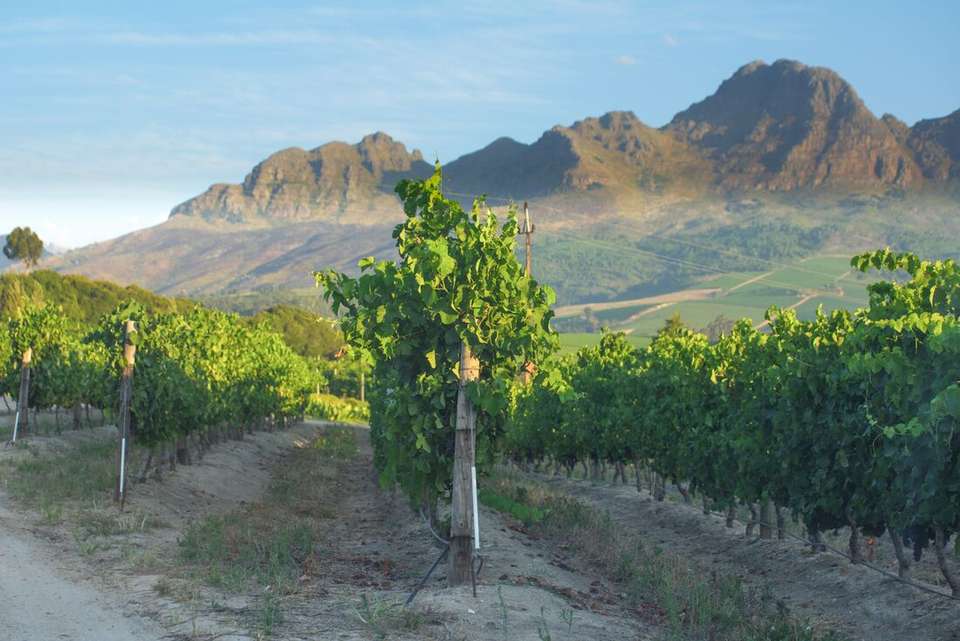 Garden Route Adventure - Intrepid Travel - South Africa