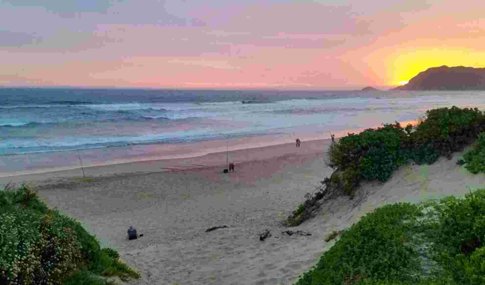 Garden Route & Addo Adventure 5D/4N