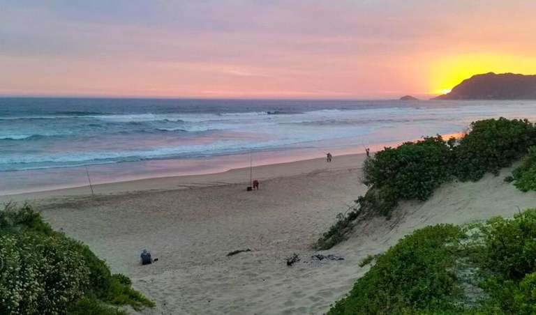 Cape Town Adventure Tour: Garden Route & Addo Adventure 5D/4N