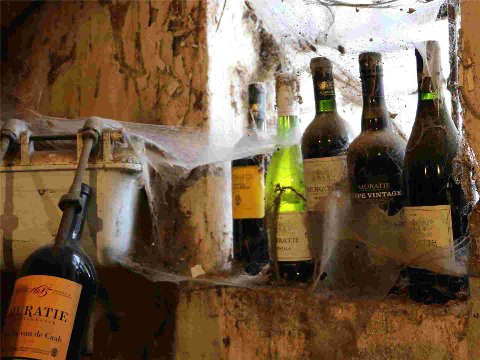 Garden Route & Wine Adventure 7D/6N